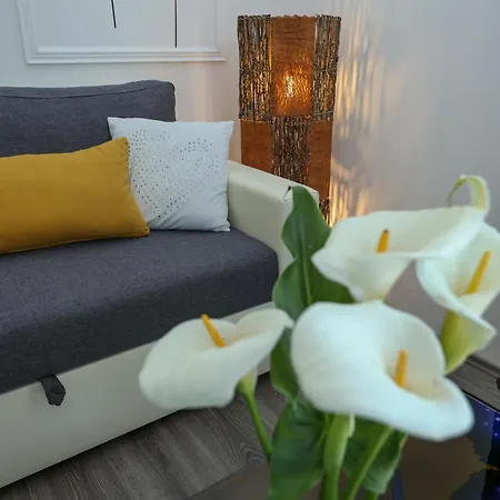 Apartment Exceptional Juniper, First Row To The Sea *
