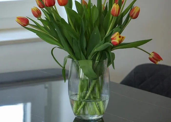 Apartament Exceptional Juniper, First Row To The Sea *