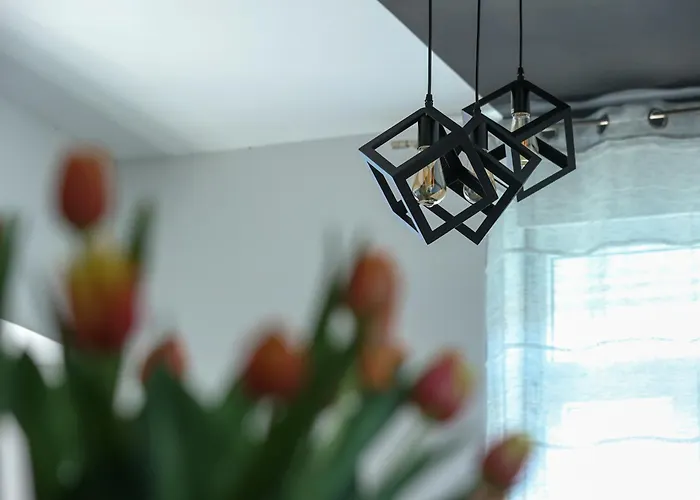 Exceptional Juniper, First Row To The Sea *