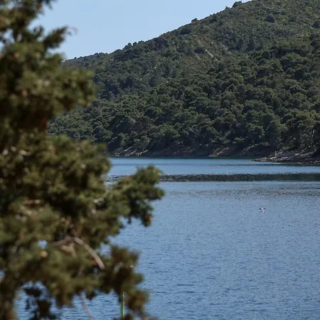 Exceptional Juniper, First Row To The Sea Appartamento *
